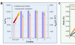 Science！西安交通大学在材料学领域取得重大突破