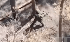 画面曝光！俄士兵徒手抓住乌军无人机并当场拍毁