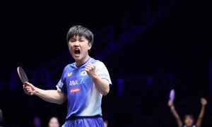 林诗栋不敌张本智和，王楚钦将与张本智和争夺美国大满贯冠军